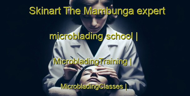 Skinart The Mambunga expert microblading school | MicrobladingTraining | MicrobladingClasses | SkinartTraining-the Democratic Republic of the Congo